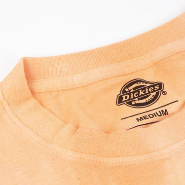 Dickies Westfir T-Shirt-SUEDE Store